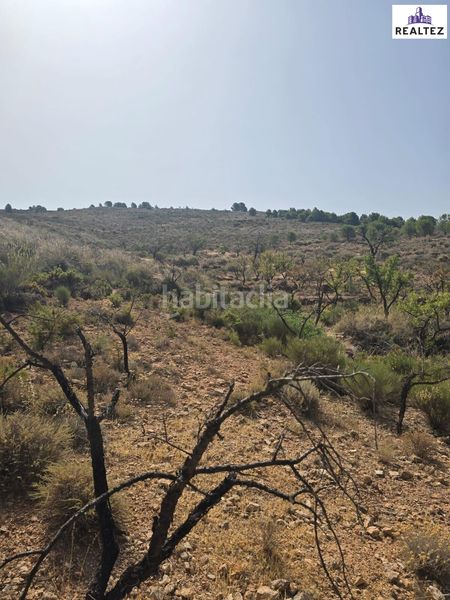 Foto 9e548316-7e7a-4d3c-9566-975dded66183. Finca rústica a Alcolea