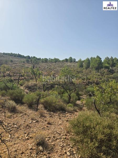 Foto bc930d6d-d219-4bee-8735-dad00e315e48. Propriété dans Alcolea