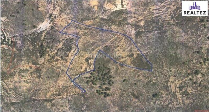 Foto bf8bac6c-711b-48e9-aa03-16c228fa404a. Propriété dans Alcolea