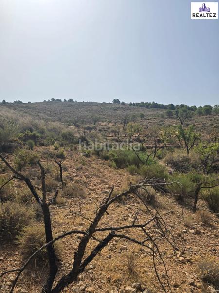 Foto c2258524-d832-443f-901e-77af13a6a112. Propriété dans Alcolea