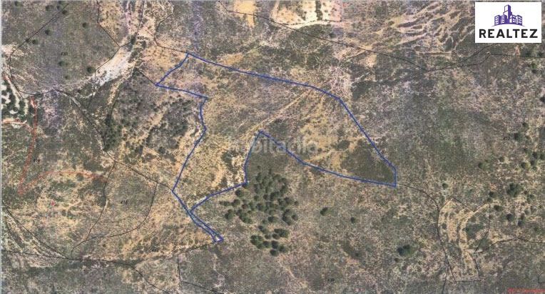 Foto e2ec383a-5c7d-4fa3-a3d4-58079c219073. Finca rústica a Alcolea