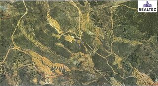 Landgut in Alcolea. Finca con almendros a la venta en alcolea