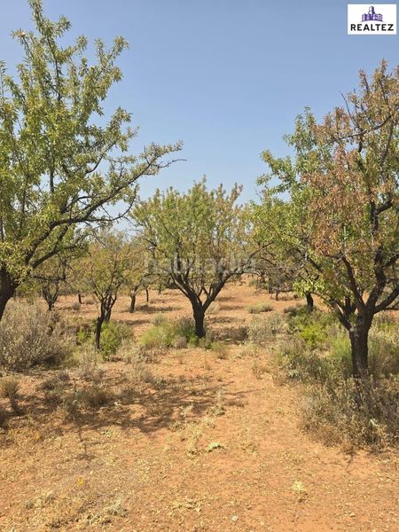 Foto b6610a76-2682-4fa7-92d5-aca421b1cb21. Finca rústica a Alcolea