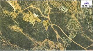 Fondo rustico in Alcolea. Finca con almendros a la venta en alcolea