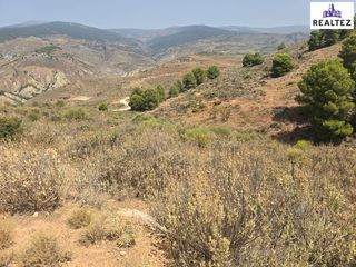 Landgut in Alcolea. Finca rústica en venta en alcolea vistas panorámicas en plena al