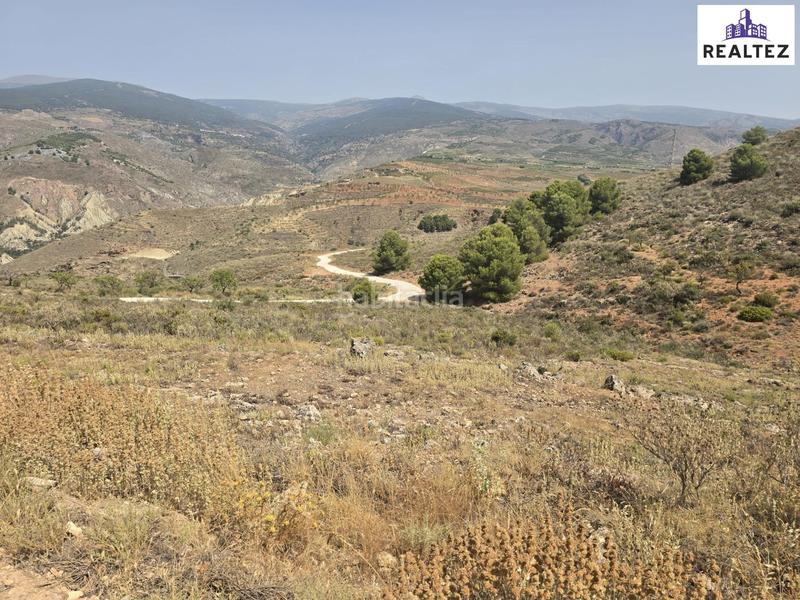 Foto 5457c75f-a8d1-4a81-8a98-24d2fe2e89e3. Finca rústica a Alcolea