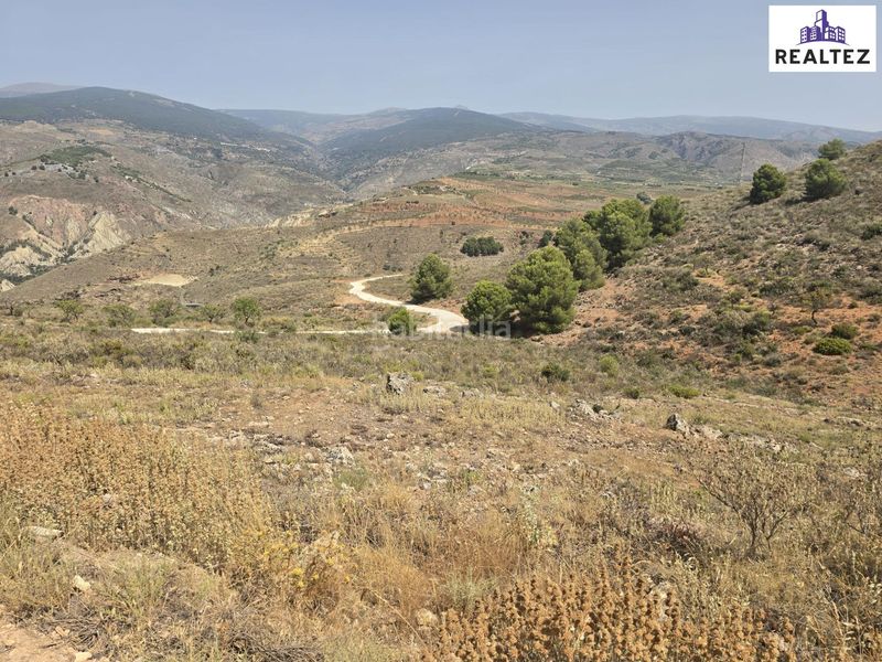 Foto 79e15f82-a9b5-47b0-a0f0-c61bfd7ae4a4. Finca rústica a Alcolea