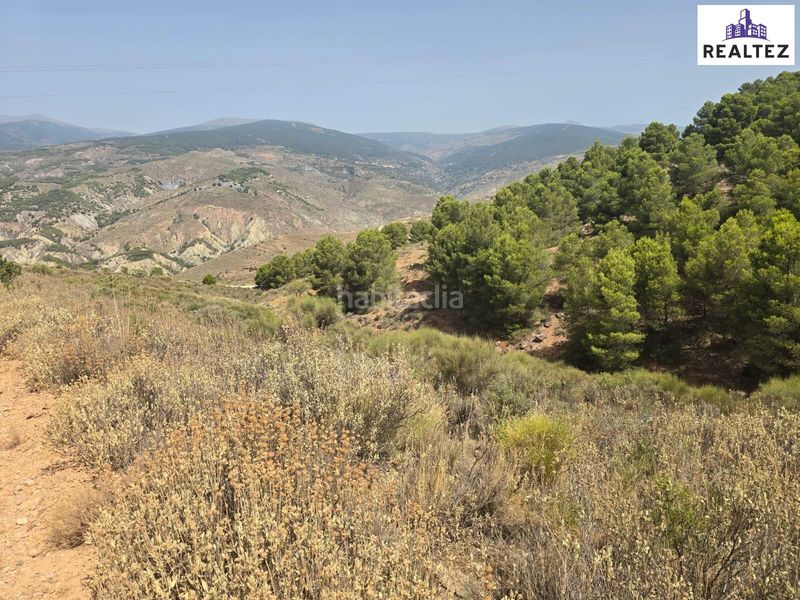 Foto a823b6df-c188-4ded-825a-30ed37e09412. Finca rústica a Alcolea