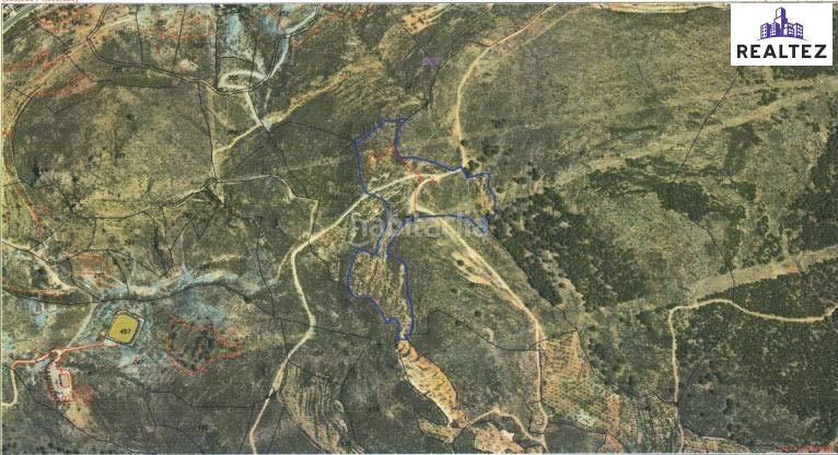 Foto c825ff72-9720-4325-8b58-4412f3266242. Finca rústica a Alcolea