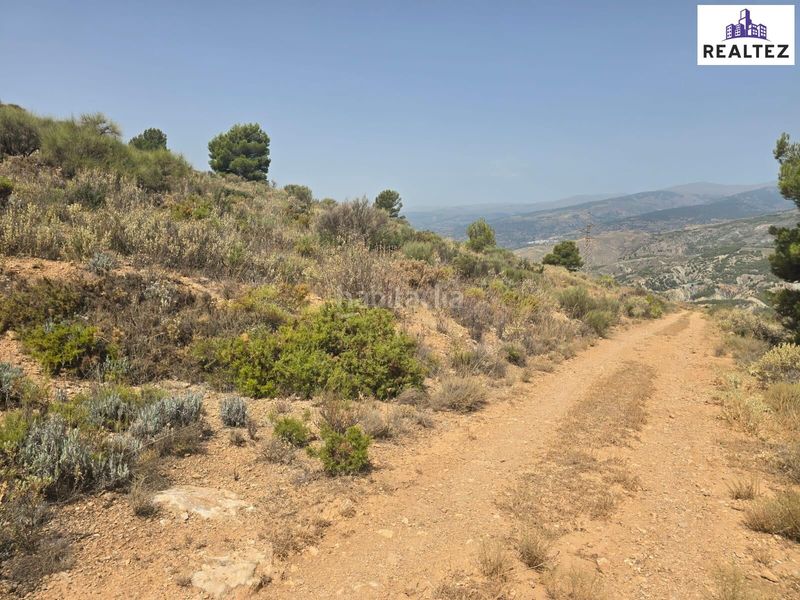 Foto edbee5c8-d085-4809-8f6a-96104ebe89f0. Finca rústica a Alcolea