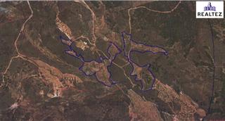 Rural plot in Alcolea. Terreno rústico en venta en alcolea  53.227m en plena alpujarra