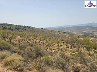 Propriété à Alcolea. Terreno rústico en venta en alcolea  53.227m en plena alpujarra