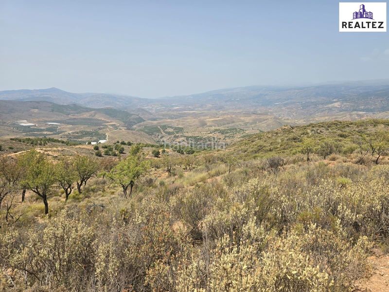 Foto 1818fa01-223c-41b2-a9b1-5cad8df919c2. Finca rústica a Alcolea