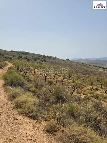 Foto 646fc82f-4c0f-4e9e-a974-1d152924fe43. Finca rústica a Alcolea