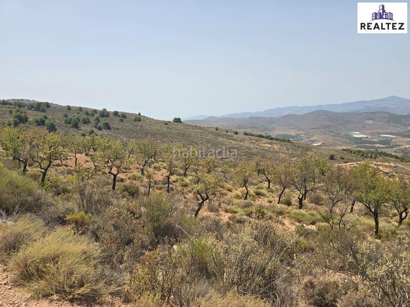 Foto a1d1dc36-fea2-4714-9ba9-464e7d066374. Finca rústica a Alcolea