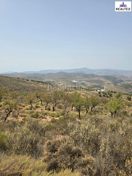Foto d7969bde-801b-43b2-bd14-a8957580cb08. Finca rústica a Alcolea