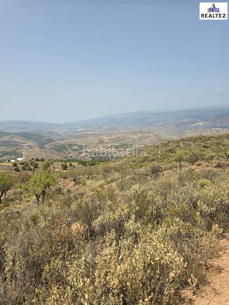 Foto fbf3d1f8-7609-4e76-a7e2-d07fbab8a598. Finca rústica a Alcolea