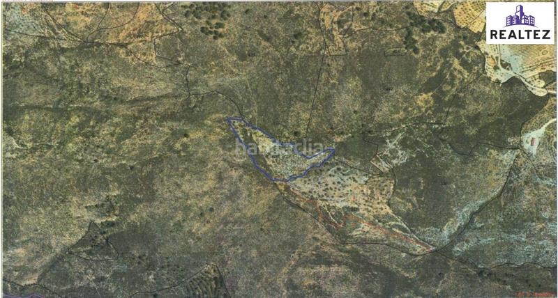 Foto 7eb4ca50-ad81-43d9-ab9a-6519771e3b37. Propriété dans Alcolea