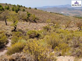 Propriété à Alcolea. Terreno en venta en alcolea