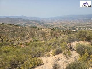Rural plot in Alcolea. Terreno a la venta en alcolea