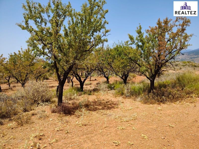 Foto 8ed7e1aa-b71f-45b1-b974-6b4d4700c466. Finca rústica terreno a la venta en Alcolea