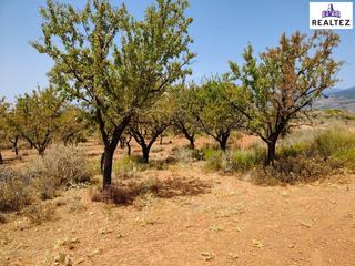 Propriété à Alcolea. Terreno a la venta en alcolea
