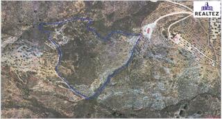 Rural plot in Alcolea. Terreno a la venta en alcolea