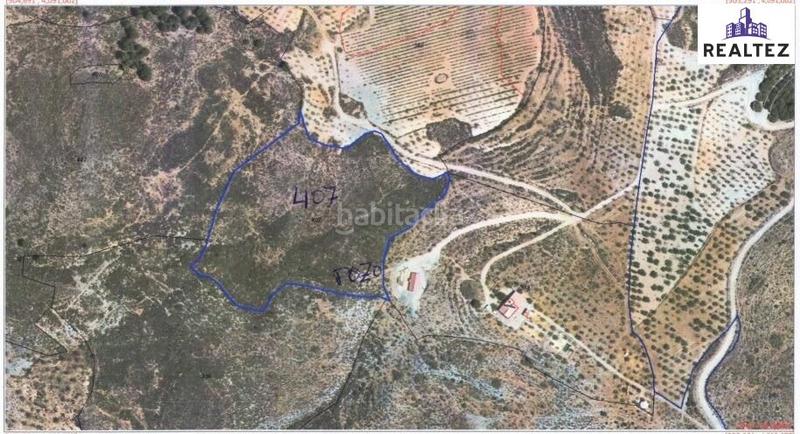 Foto 3727e263-ac3d-4484-99b7-341c0b44518d. Finca rústica a Alcolea