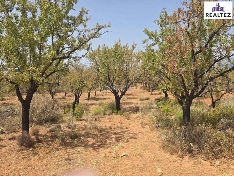 Foto 4a59c6c1-0d66-4c27-ac65-e25e83efb1f6. Finca rústica a Alcolea