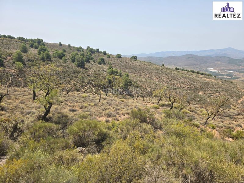Foto 1a7fe16f-9b45-46cf-b84b-02e089214545. Finca rústica a Alcolea