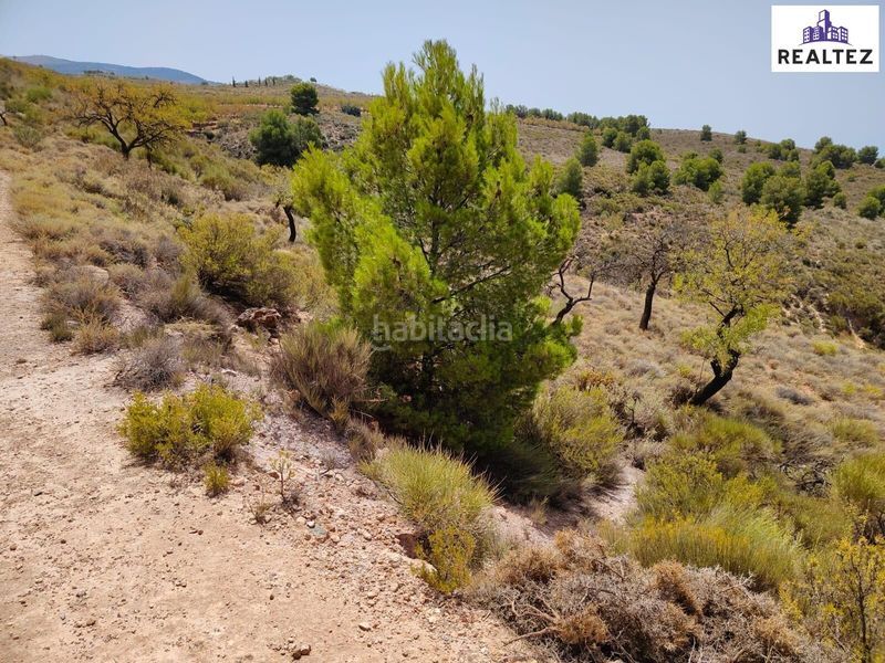 Foto 3c9bbd25-57d9-4a46-b232-29e449ba06bc. Finca rústica a Alcolea