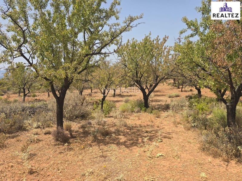 Foto 64f63822-3fd3-41f0-8737-b50131420ede. Finca rústica a Alcolea