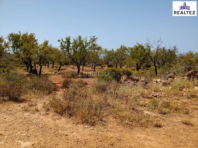 Foto 95ed91b9-828e-4467-be6c-6daf9eb4d8f5. Finca rústica a Alcolea