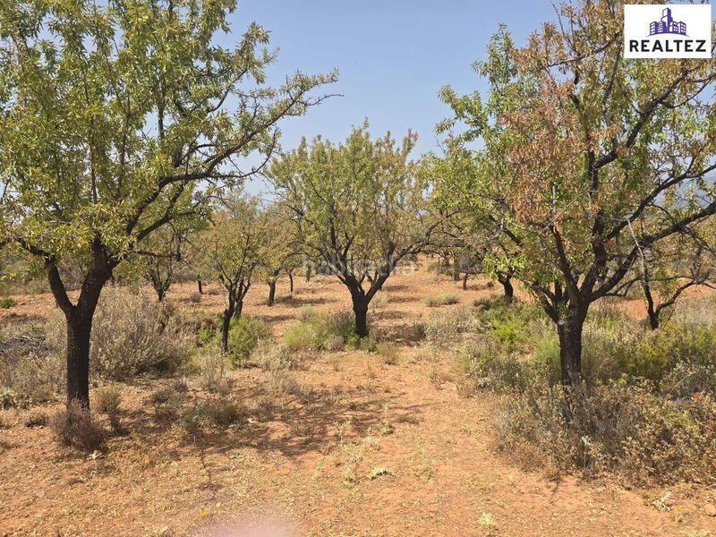 Foto d7a8e19d-82a4-464b-bcb0-19644b79b408. Finca rústica a Alcolea
