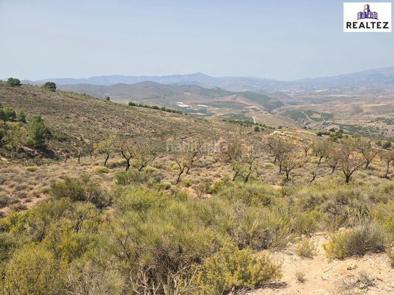Foto df54d0dd-5422-432f-bee4-eb8aee04f9e5. Finca rústica a Alcolea
