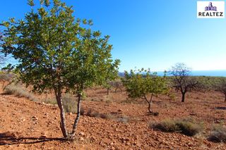 Finca rústica en Felix. Terreno rústico a la venta en felix