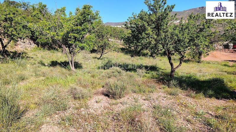 Foto 06e9d122-a009-45f0-9621-ebe21aec2607. Finca rústica a Felix