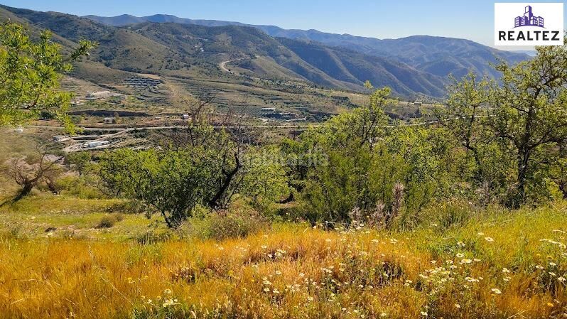 Foto 531398b6-47ac-4835-aea3-ff2b170544b3. Finca rústica a Felix