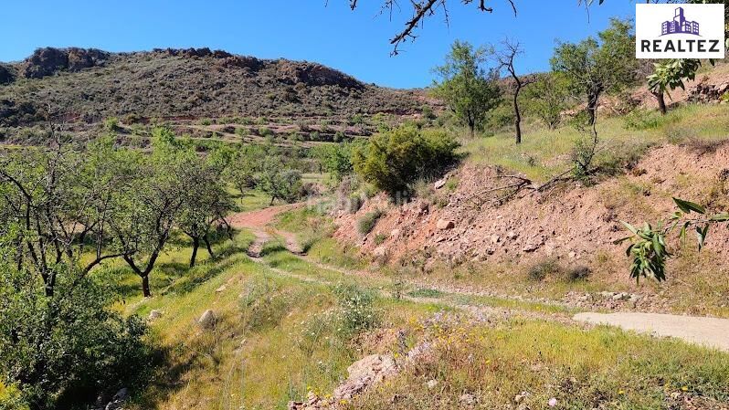 Foto 94773065-efb0-4cad-b658-c12853383136. Finca rústica a Felix