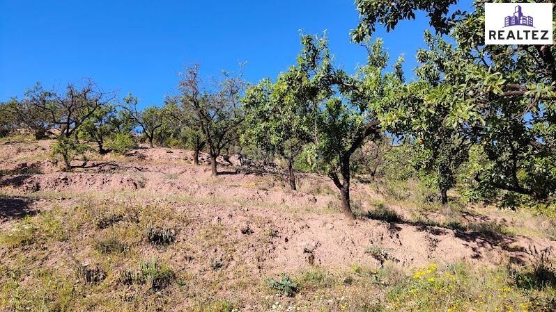 Foto ae5c1944-043c-4b99-8d08-a970942c4157. Finca rústica a Felix