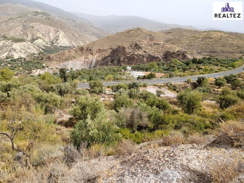 Foto c9f4ee94-e005-460e-932c-229de276adc1. Fondo rustico in Alcolea