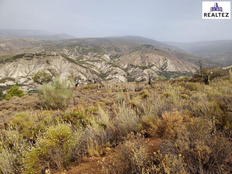 Foto fee25e78-9ca6-41db-905f-17346caf0390. Fondo rustico in Alcolea