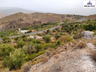 Finca r�stica en Alcolea. Terreno r�stico en venta en alcolea  7.971m2 en plena alpujarra