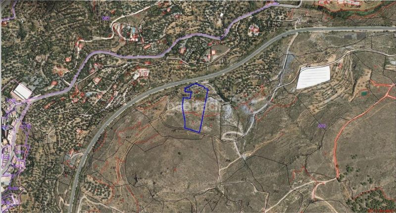 Foto 3a2954be-e7e1-41aa-9778-4a641ca7a802. Finca rústica a Alcolea