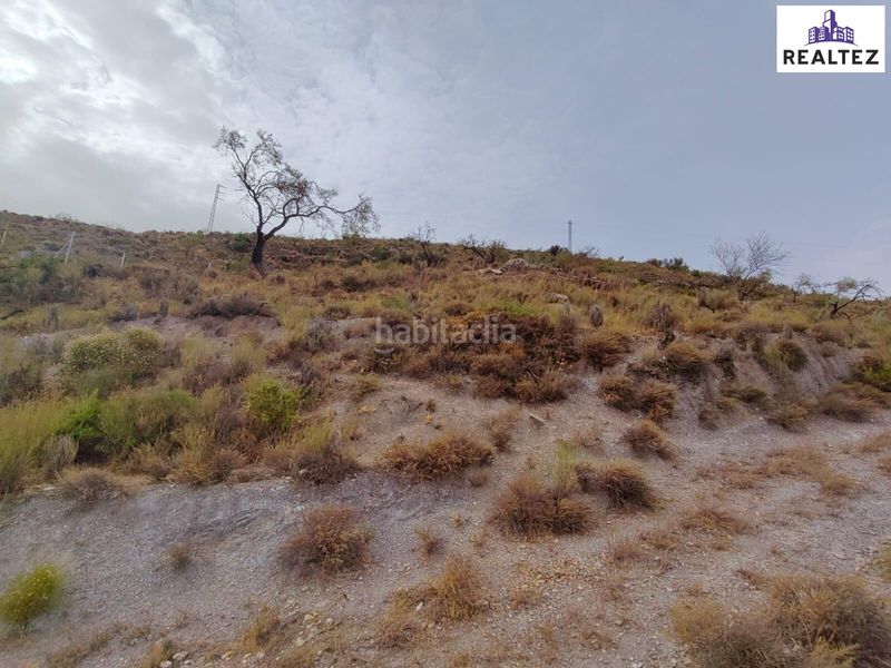 Foto 904721da-81fb-4537-8266-16e22b99624f. Finca rústica a Alcolea