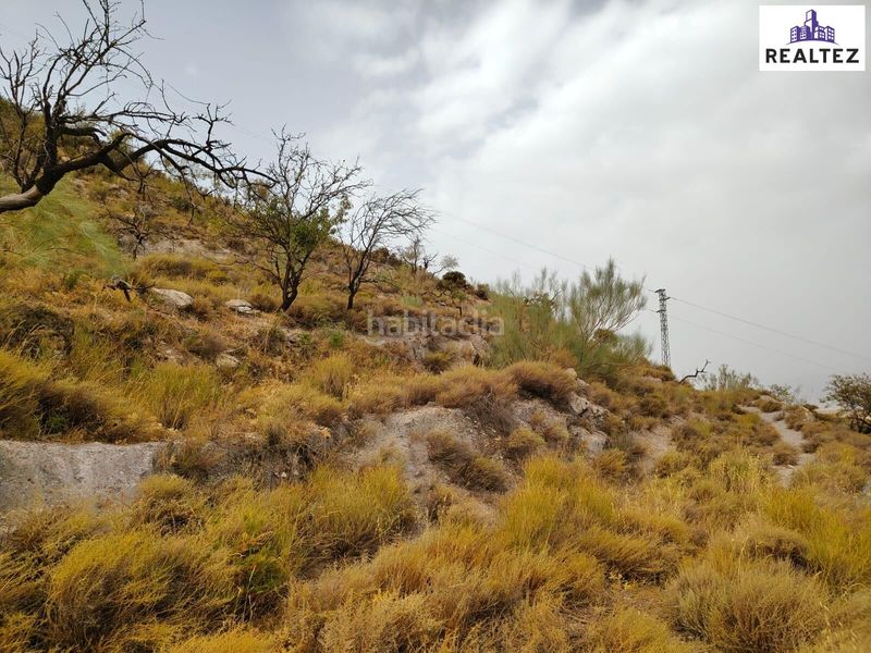 Foto d6bdfb67-0c32-4467-9762-f697eed1a0f6. Finca rústica a Alcolea