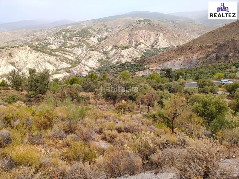 Foto e1b4ccca-a2d3-4b3e-8d53-f6aba19c957d. Finca rústica a Alcolea