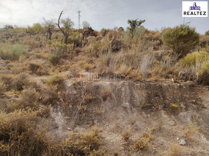 Foto ecea55ae-78d3-4c81-87ac-926c77965541. Finca rústica a Alcolea