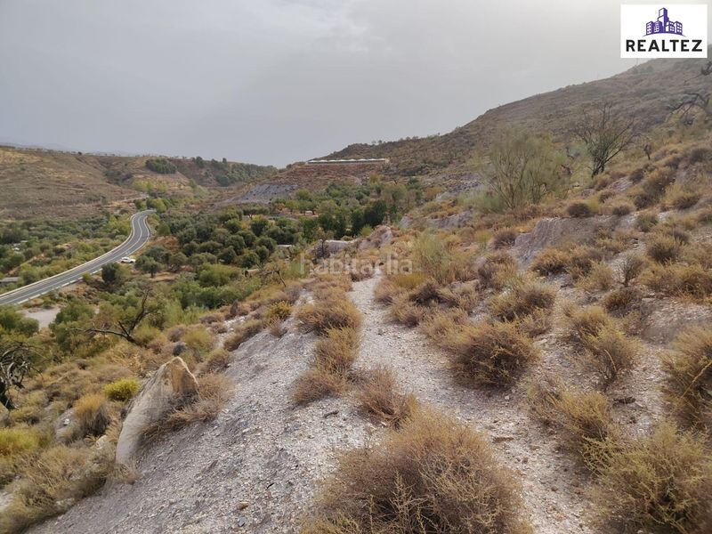 Foto f3d973bd-d829-4599-9993-c0d872f8fb36. Finca rústica a Alcolea