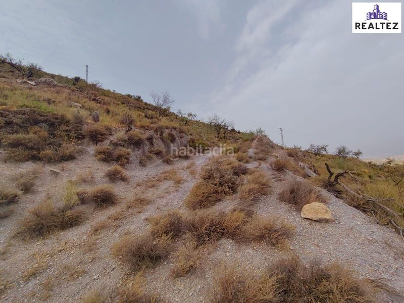 Foto f6c00302-2d73-4b27-abb8-d0963523d03d. Finca rústica a Alcolea